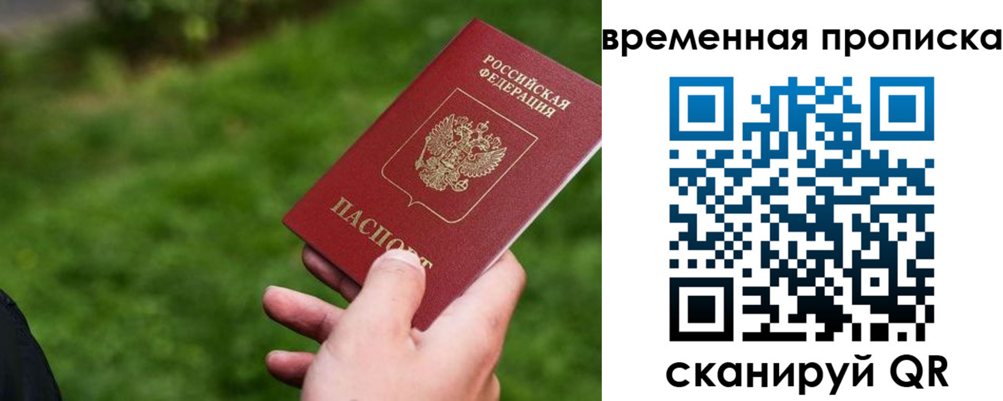 прописка 2025 в Куртамыше